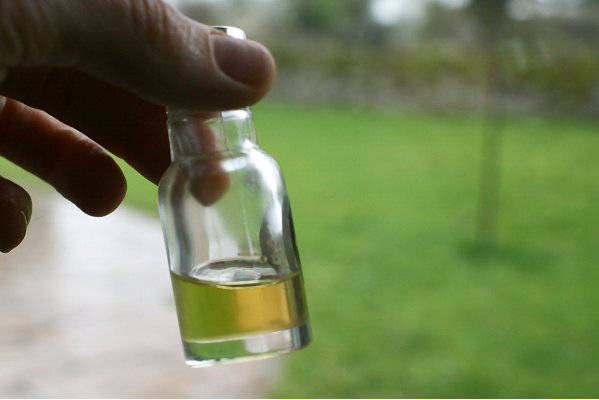 Argan Oil Help Hair Growth | Argan Oil in a bottle
